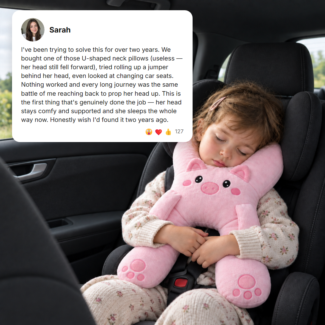 Kids Travel Pillow